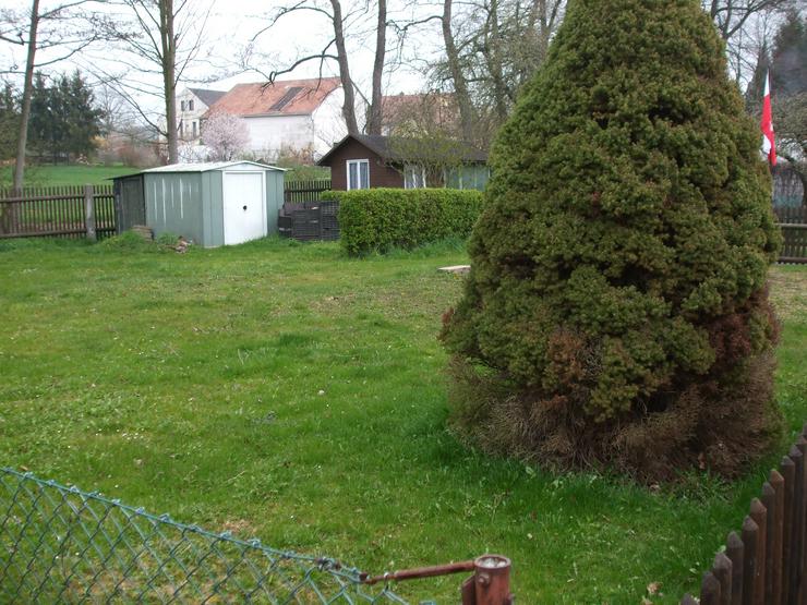Bild 3: Pachtgarten zu vermieten