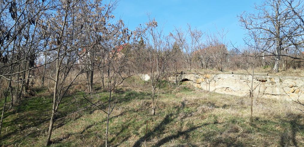 Bild 4: Grundstück 1489 m2 in Ungarn mit Panorama Aussicht über Velence-See