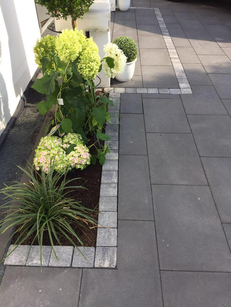 Bild 10: Handwerker, Gartenbau, Bagger Arbeit, Pflastern 