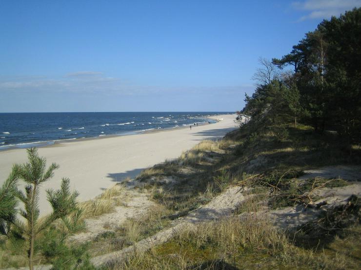 Bild 8: Komfort Ferienwohnung „Strandmuschel“ inkl. großen Balkon auf Usedom in Zempin