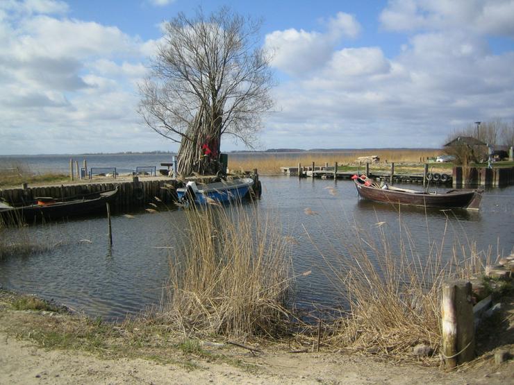 Bild 7: Komfort Ferienwohnung „Strandmuschel“ inkl. großen Balkon auf Usedom in Zempin