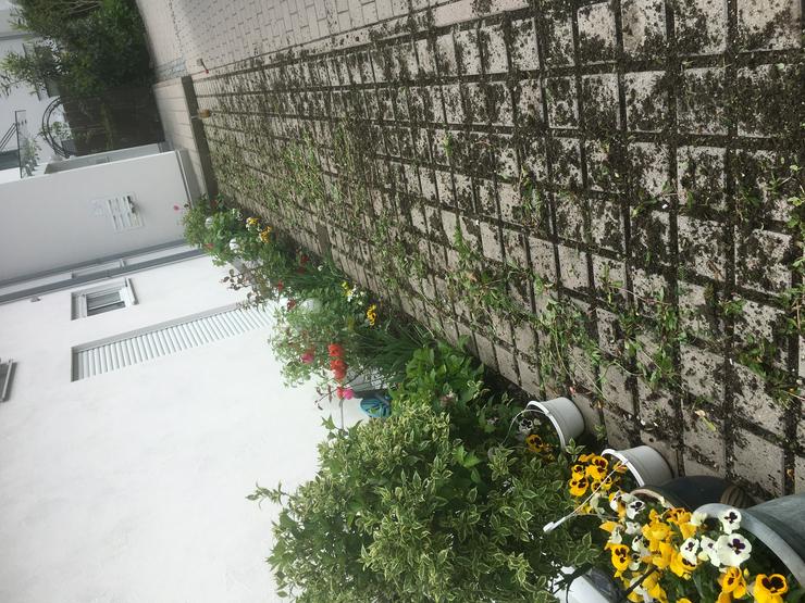 Renovierung,Gebäudeservice, Raumausstatter,Reinigung  - Reparaturen & Handwerker - Bild 1