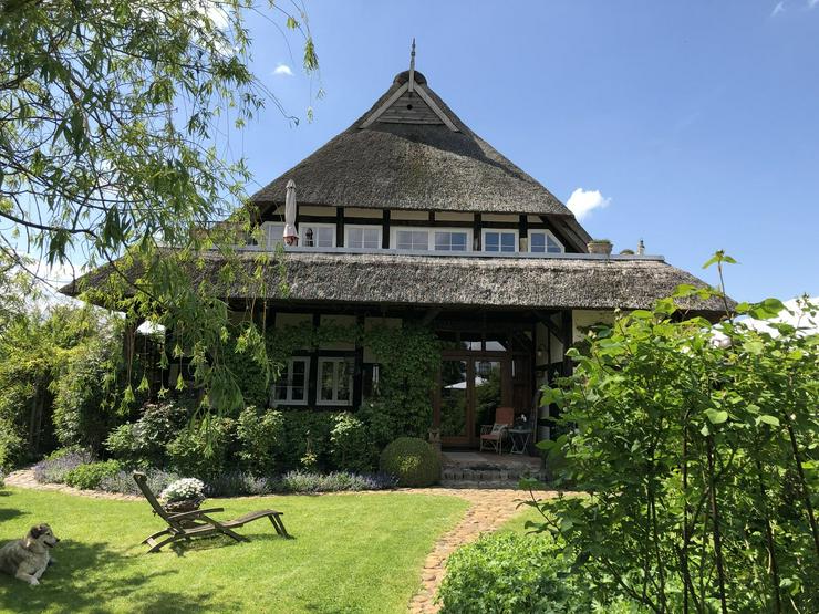 Bild 3: Historisches Reetdach-Fachwerkanwesen mit Elbblick im Wendland