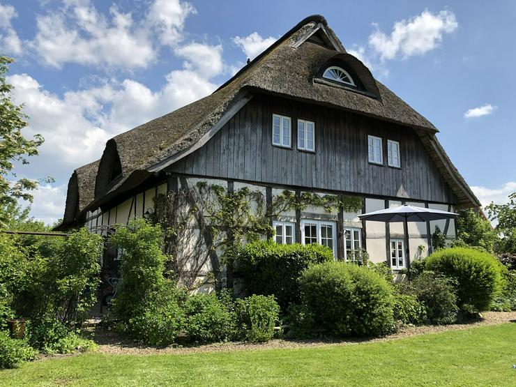 Bild 2: Historisches Reetdach-Fachwerkanwesen mit Elbblick im Wendland