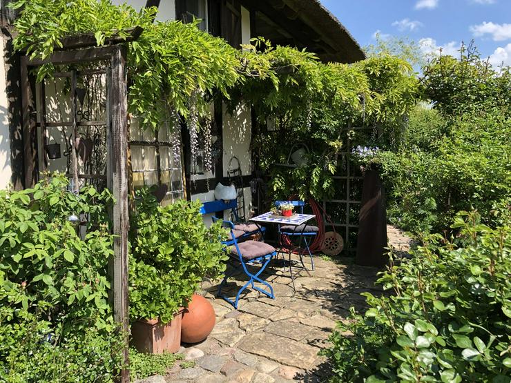 Bild 8: Historisches Reetdach-Fachwerkanwesen mit Elbblick im Wendland