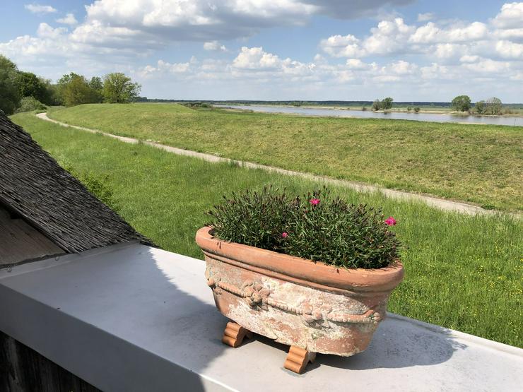 Bild 14: Historisches Reetdach-Fachwerkanwesen mit Elbblick im Wendland