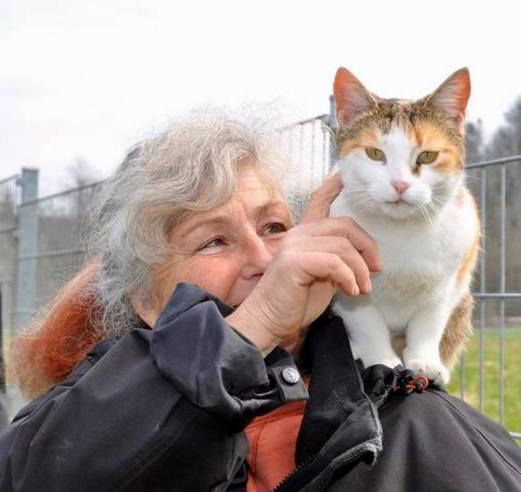 Bild 2: 20 Jahre Gnadenhof Lebenswürde für Tiere e.V.