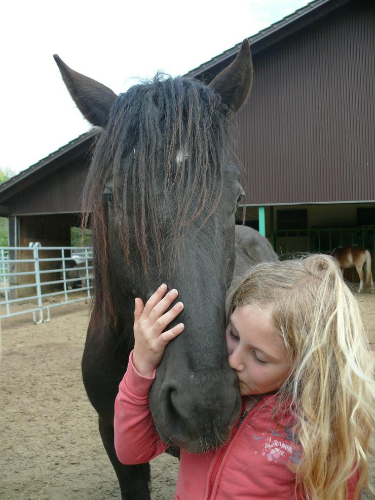 Bild 7: 20 Jahre Gnadenhof Lebenswürde für Tiere e.V.