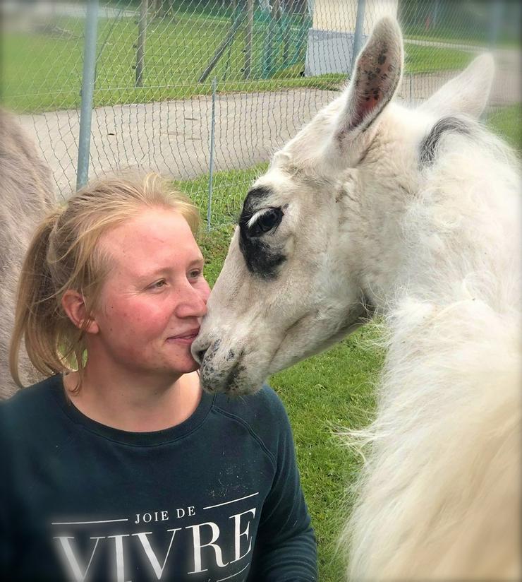 Bild 3: 20 Jahre Gnadenhof Lebenswürde für Tiere e.V.