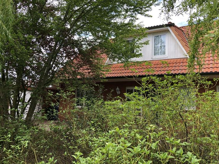 Bild 7: Schickes Einfamilienhaus in Dannenberg-OT Prisser (Wendland)
