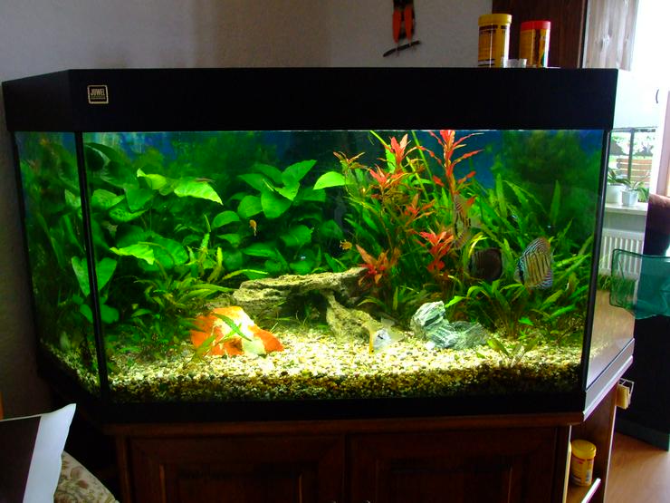 Bild 2: Juwel Aquarium Delta 300 270 Liter