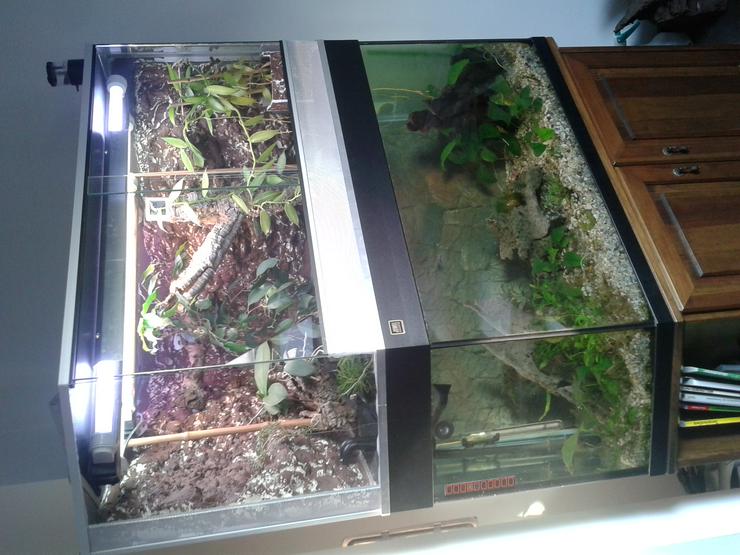 Bild 3: Juwel Aquarium Delta 300 270 Liter