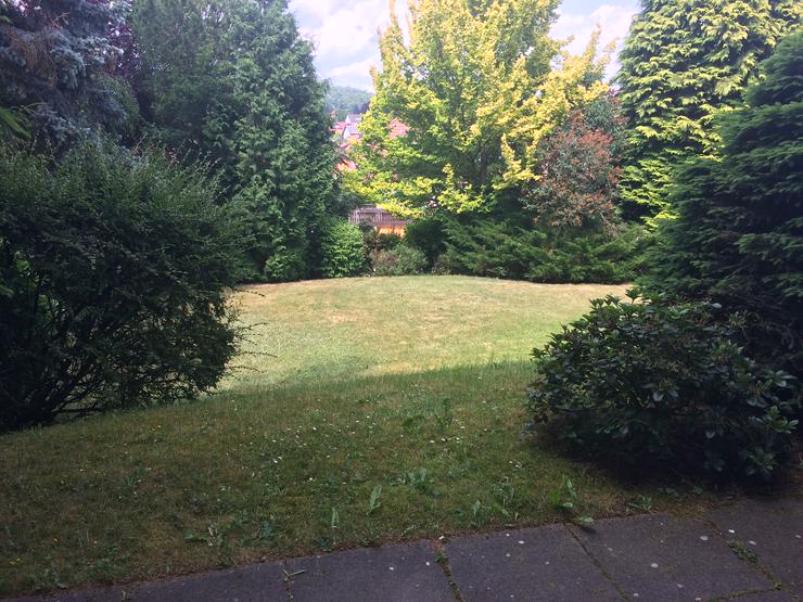 Bild 9: Eigentumswohnung in Bad Sachsa