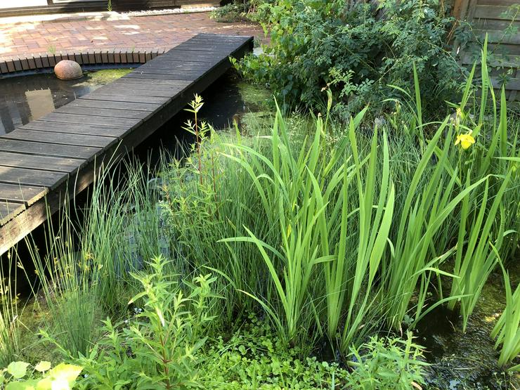 Bild 7: Solides Wohnhaus mit Wintergarten in der Altmark Nähe Salzwedel (Riebau)