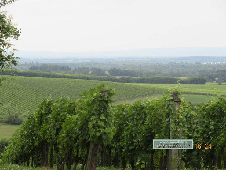 Bild 11: Weinberghaus im Raum Kis-Balaton, Ungarn Grdst. 1.497m ² Nr.82