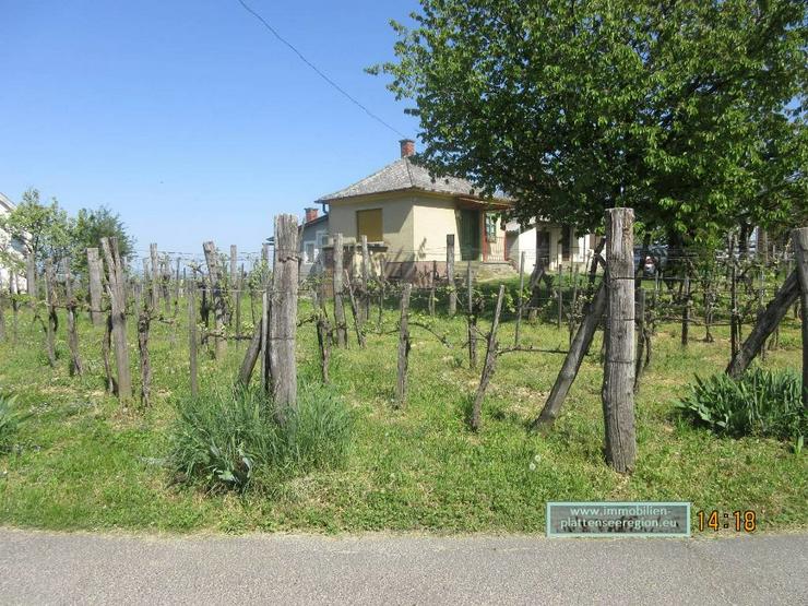 Bild 10: Weinberghaus im Raum Kis-Balaton, Ungarn Grdst. 1.497m ² Nr.82