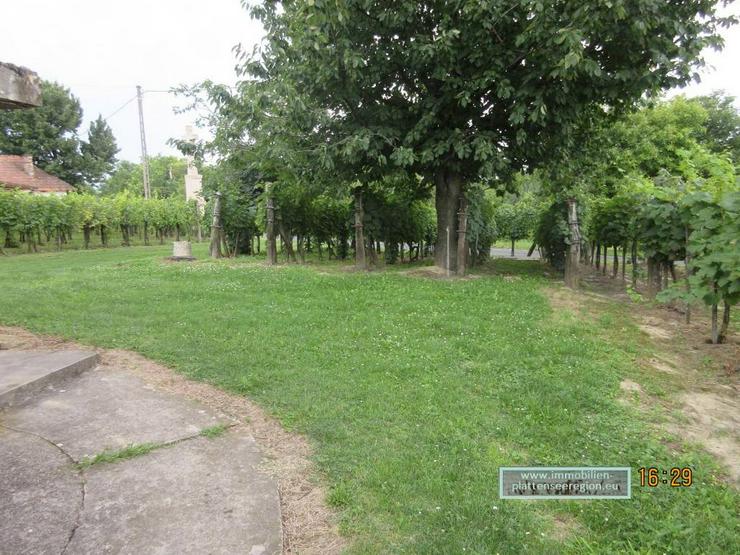 Bild 13: Weinberghaus im Raum Kis-Balaton, Ungarn Grdst. 1.497m ² Nr.82