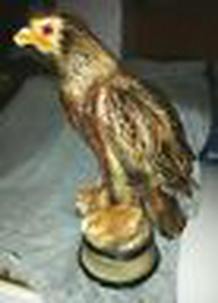 Bild 2: Adler Figur aus Keramik (FP) noch 1 x Preis runter gesetzt !