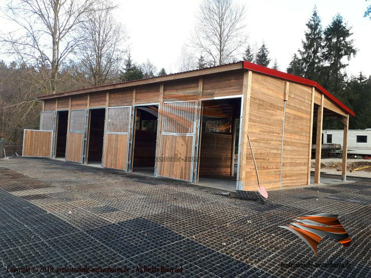 Bild 11: Außenbox für Pferde & Pferdebox | Pferdestall bauen und Offenstall kaufen & Pferdeunterstand, Weideunterstand Top - Stallplanung