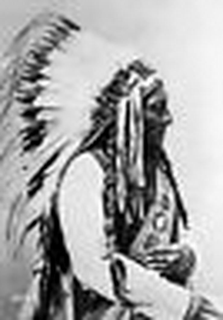 Bild 4: Indianer Fahne mit Sitting Bull Häuptling der Sioux (FP)noch 1 x runter gesetzt !