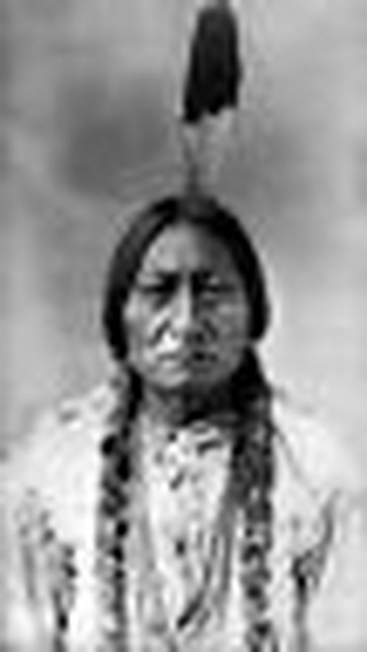 Bild 3: Indianer Fahne mit Sitting Bull Häuptling der Sioux (FP)noch 1 x runter gesetzt !