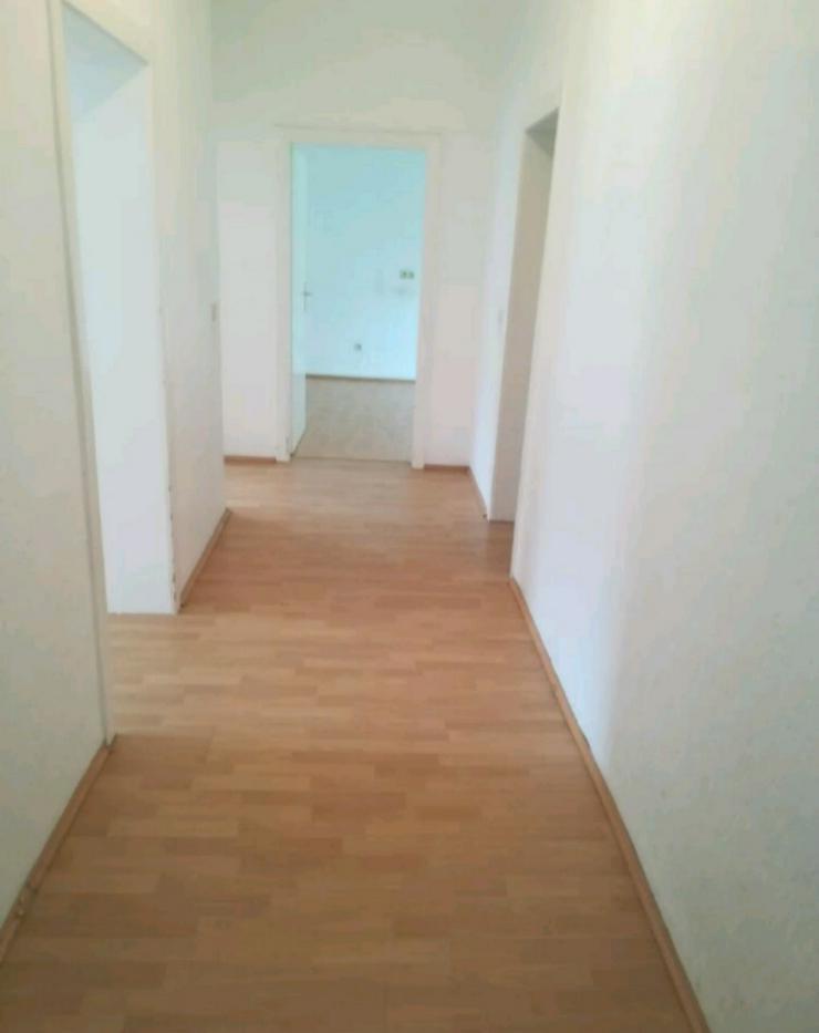 Bild 4: Suche 3 Zimmer Wohnung 