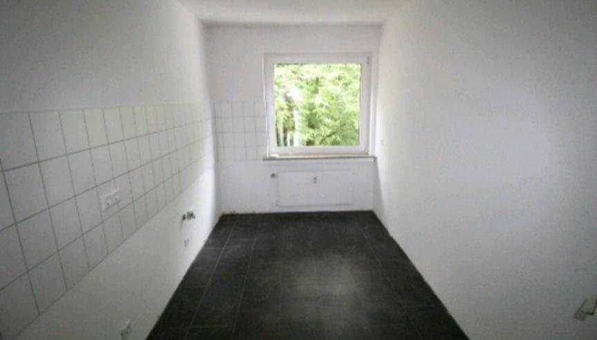 Suche 3 Zimmer Wohnung  - Wohnung mieten - Bild 5