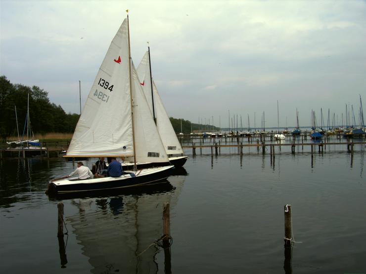 Bild 5: Bootsverleih Kielhorn / Steg N 21  3 Std. Zugvogel segeln auf dem Steinhuder Meer