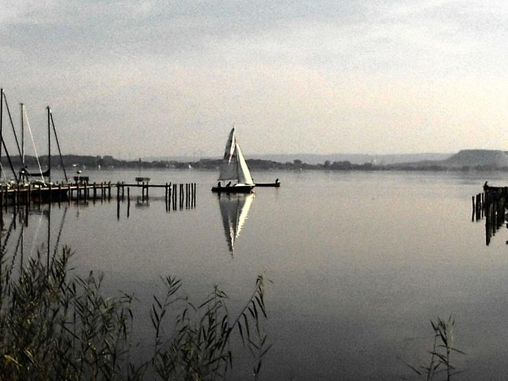 Bild 7: Bootsverleih Kielhorn / Steg N 21 3 Std. Conger segeln auf dem Steinhuder Meer