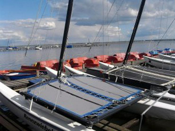 Bootsverleih Kielhorn / Steg N 21  1Tag Hobie Cat 16 segeln auf de Steinhuder Meer