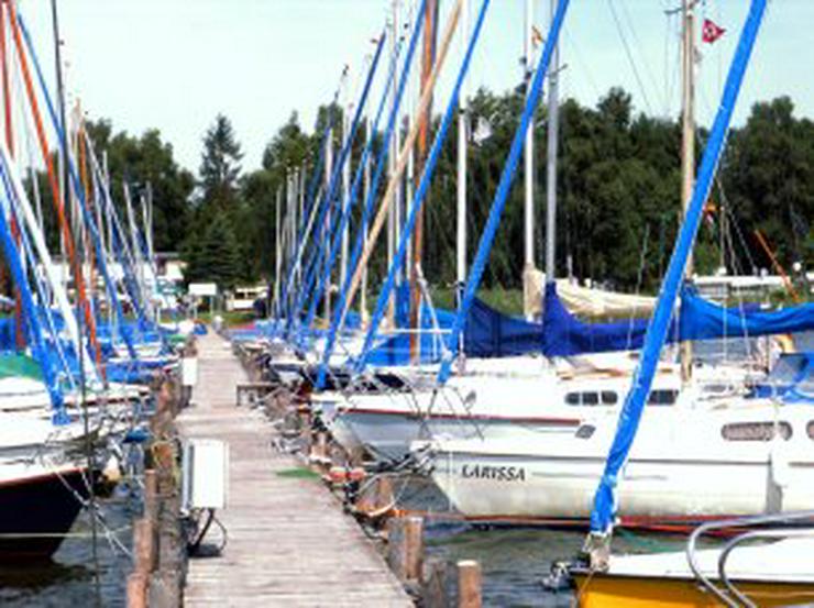 Bild 3: Bootsverleih Kielhorn / Steg  N 21  Bootsliegeplatz am Steinhuder Meer in Mardorf ( 3 m Box )