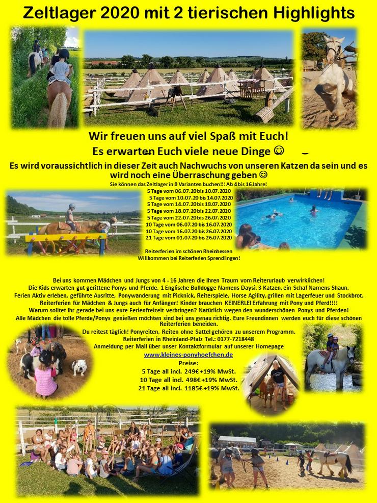 Sommerzeltlager auf dem Pony und Pferdehof  - Freundschaft & Freizeitbegleitung - Bild 2
