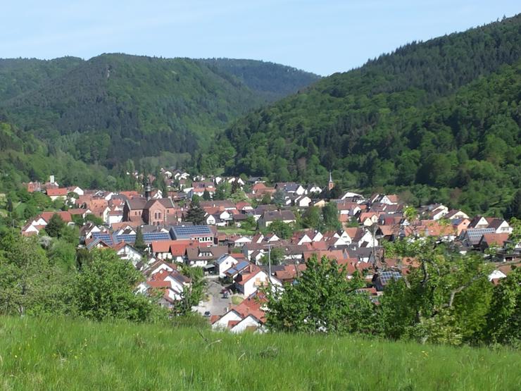 Ferienwohnung am Sulzbach  Pfalz, Südliche-Weinstraße - Rheinland-Pfalz & Saarland - Bild 14