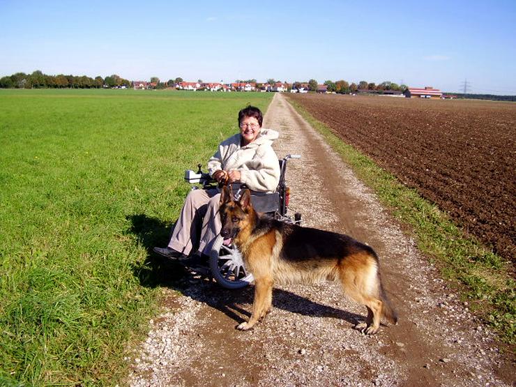 Hundeferien mit Familienanschluss - Tierbetreuung & Training - Bild 2