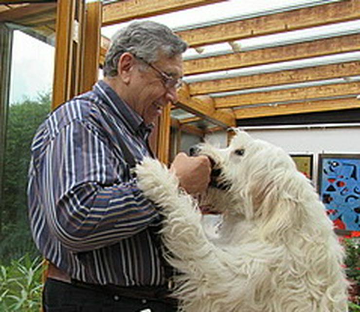 Hundeferien mit Familienanschluss - Tierbetreuung & Training - Bild 11
