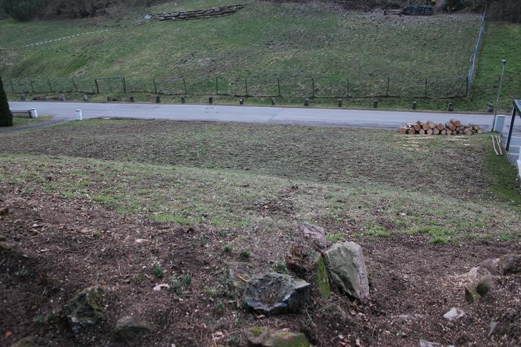 Bild 2: Idyllischer Bauplatz-Baugrundstück am Waldrand in ruhiger Lage für 1-4 Familienhaus