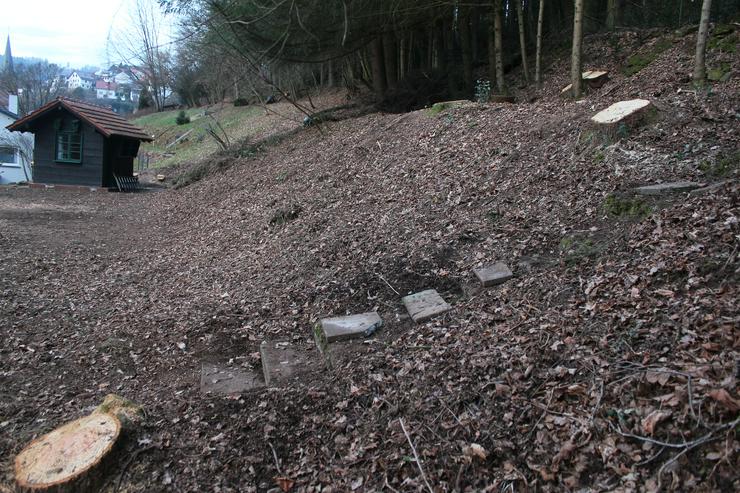 Bild 3: Idyllischer Bauplatz-Baugrundstück am Waldrand in ruhiger Lage für 1-4 Familienhaus