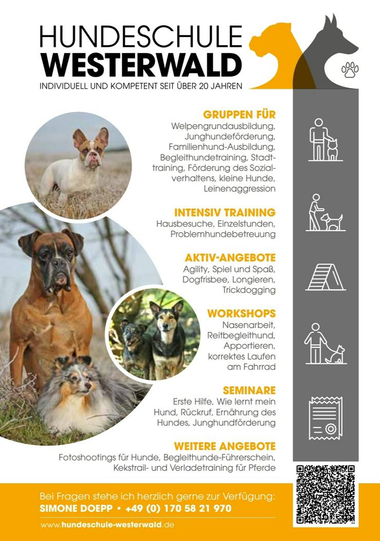 Hundeschule-Westerwald. Für alle Hunde, individuell und kompetent seit über 20 Jahren  