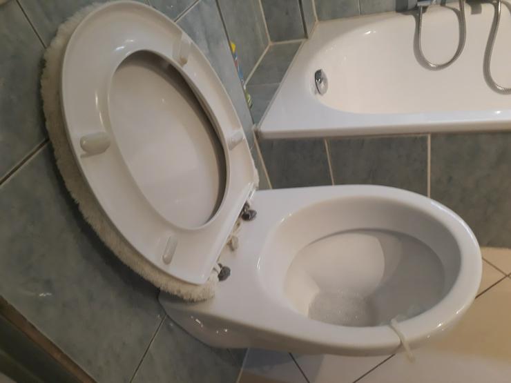 sauber und gute Wandhängende WC von Villeroy& Boch mit Deckel - WC - Bild 4