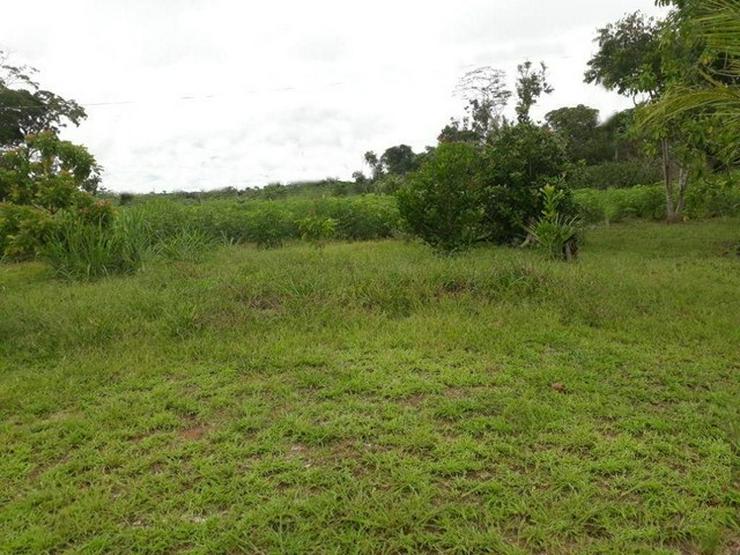 Bild 9: Brasilien 100 Ha Tiefpreis - Grundstück in der Nähe von Autazes AM