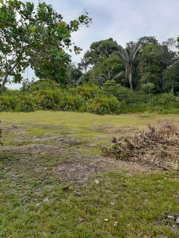 Bild 5: Brasilien 25 Ha grosses Tiefpreis-Grundstück Region Manaus