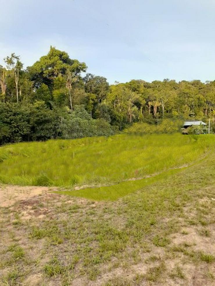 Bild 4: Brasilien 25 Ha grosses Tiefpreis-Grundstück Region Manaus
