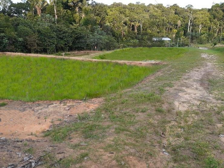 Bild 3: Brasilien 25 Ha grosses Tiefpreis-Grundstück Region Manaus