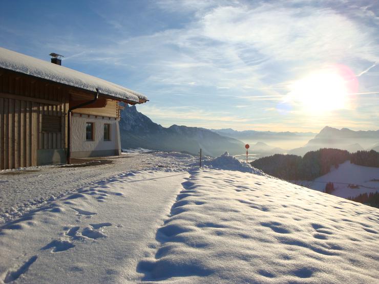 Bild 2: Komfortable Almhütte in traumhafter sonniger Alleinlage in Tirol 