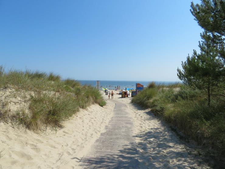 Sehr strandnahe Ferienwohnung direkt am Meer auf der Insel Usedom! - Ferienwohnung Ostsee - Bild 1