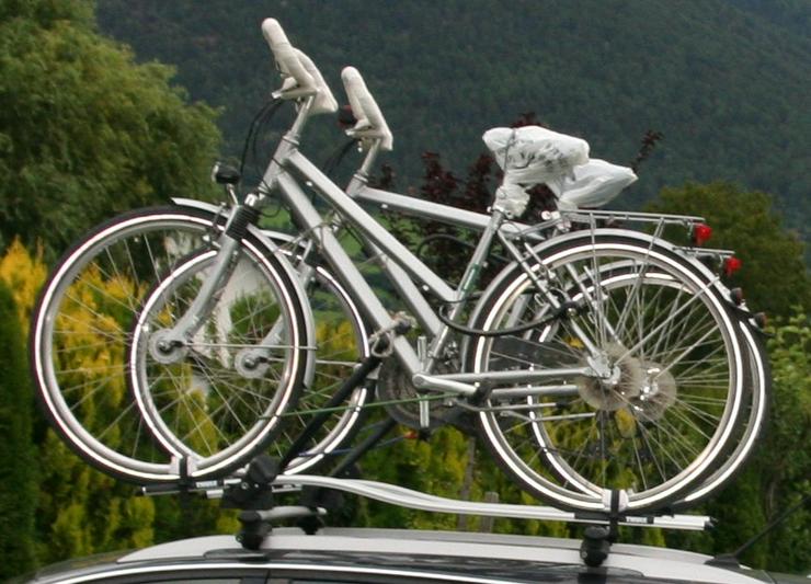 Bild 2: Dach-Fahrradträger THULE ProRide 591 neuwertig !