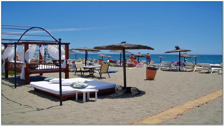 Ferien Apartment an der Costa del Sol "Marbella" Spain zu vermieten - Ferienhaus Spanien - Bild 20