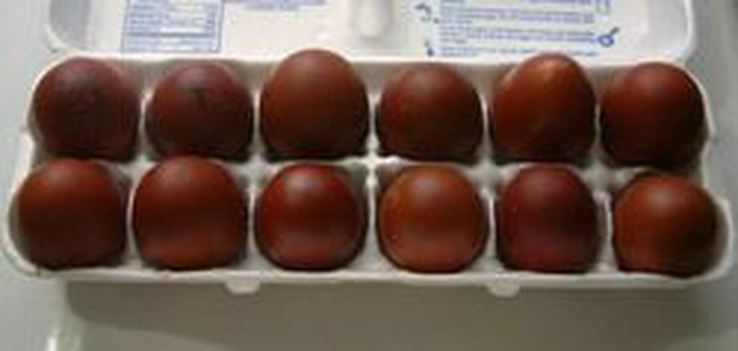 Bild 5: Marans Hühner die mit den Schokoladenfarbenen Eiern, legend Schutzgeimpft zu verkaufen. 