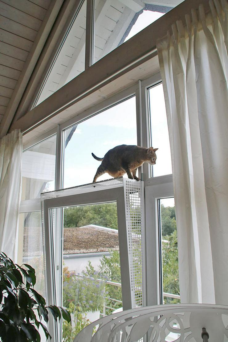 Bild 10: Kippfensterschutz, Katzensicherheit für Balkontüren, OHNE BOHREN OHNE KLEBEN