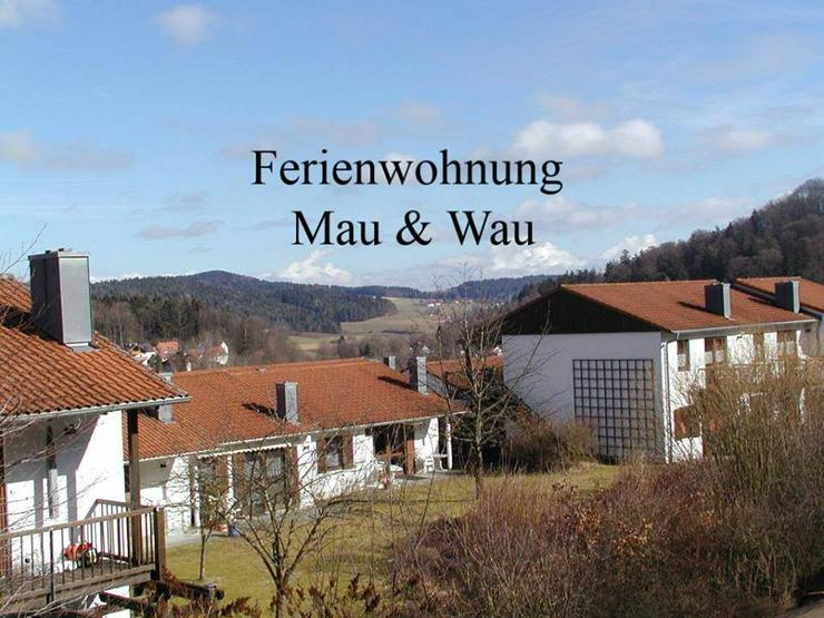 Bild 2: Ferien mit Katzen - Bayerischer Wald - Sommer 2022 - Ferienwohnung Mau & Wau